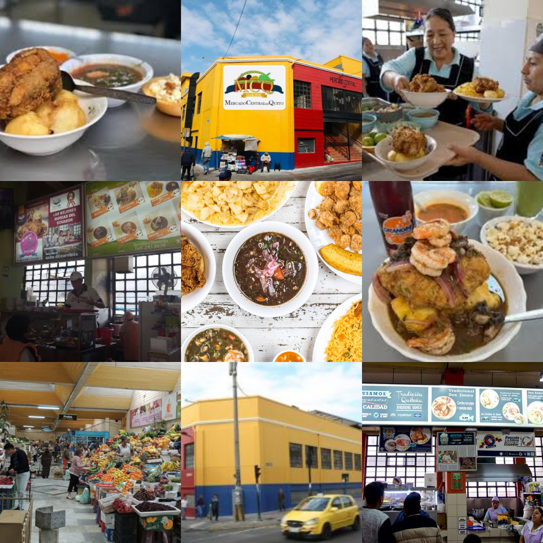 La ruta del cóndor andino