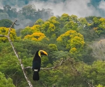 Zamora: Selva, ríos y herencia minera