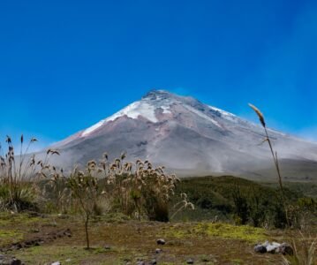 Entre el páramo del Parque Nacional Cotopaxi