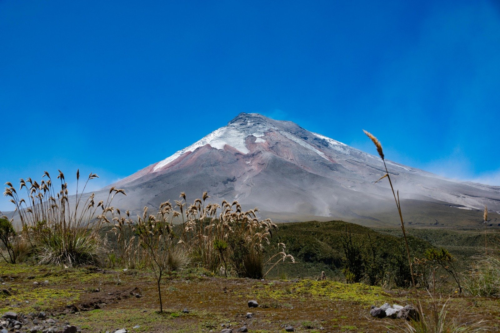 Entre el páramo del Parque Nacional Cotopaxi