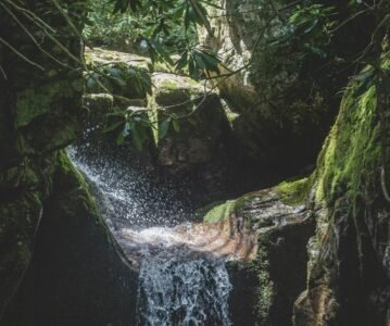La selva guarda memorias ancestrales de Archidona